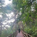 무궁화테마파크 | 홍천 여행 (무궁화테마파크, 홍천강)