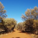 울룰루(uluru)