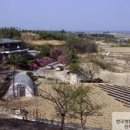 방동상리 티스토리