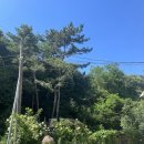 1박2일펜션 | 충남 부여 1박 2일 촌캉스 수리재 펜션 숙박 후기