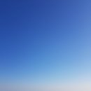 개미집 본점 이미지