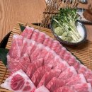 참치라이더 이미지