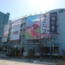 (주)메르시팜 | 고양이 박람회, 제 10회 궁디팡팡 캣페스타 궁팡 관람 및 구매 후기