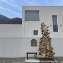 화이트풀빌 이미지