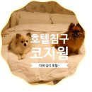 집텔 이미지