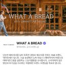 친환경제주드림 | [KREAM 체험단] 왓어브레드(WHAT A BREAD) 모찌 치즈케이크 외