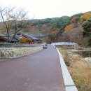 은수상회 Daum카페