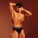 아베크로얄 이미지