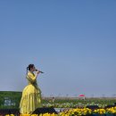 익산시장애인연합회 | 전주 군산 익산 남원 정읍 전북 행사 사회자 MC미노｜김제 새만금 보리밭축제 신나는 예술버스 진행 후기