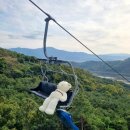 카네기모텔 | 야식과 밤 12시 취침🐖🦴