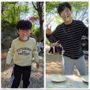 강변의 숲속 이미지