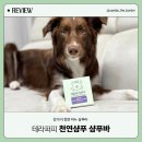퍼피트리 | [강아지 천연 비누 삼푸바 사용 후기]테라퍼피 샴푸바