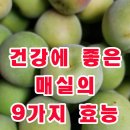 건강에 좋은 매실의 9가지 효능 이미지