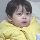 비주얼카 이미지