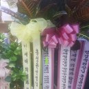 브레인밸리학원