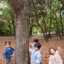 숲 체험활동 - "정발산 공원"🍂🍁 이미지