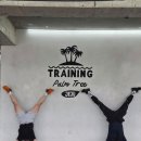 트레이닝팜트리 이미지