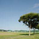 양양군 야구장 이미지