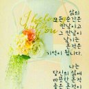 금토끼