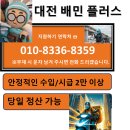 익일정산 가능/동구/대덕구 대전배민플러스 /대전배민커넥트플러스 기사님들 모집! 이미지