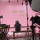 당신의 인생사진 | 📸 안성 공도 여권사진 잘 찍는 곳, ‘당신의 인생사진’ 솔직 리뷰