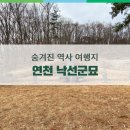 낙선군묘 이미지