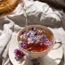 코지시엘 이미지