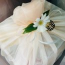 온기청과 이미지