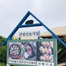 산방산초가집 이미지