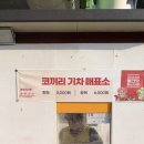 2026 괴산 빨간맛 페스티벌 후끈했던 솔직후기와 꿀팁방출