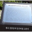 계곡 장흥임씨 당산마을 고문서 일괄 네이버블로그