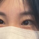 도반뷰티 눈썹 네이버블로그