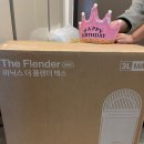 음식물 냄새/안구 테러 줄어든 이유｜미닉스 더플렌더 맥스 후기