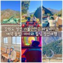 구절리역 | 강원도 정선 가볼만한곳 레일바이크 예약 꿀팁! 아이와 힐링 정선여행