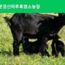산마루농장 이미지