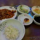 낙지이야기 이미지