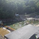 정자나무 펜션 이미지