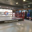 프로팀스타 복싱 이미지