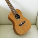 초등우쿨렐레 이미지