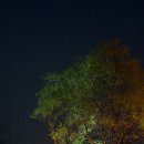 주천강강변자연휴양림 이미지