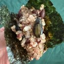 윤희유치원 | [26.02.02] 2026년 한달살이 후기