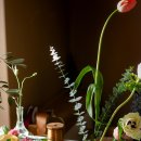 힐링 플라워 꽃꽂이 이미지