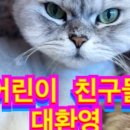 모여봐요 고양이 카페 이미지