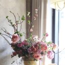 플라워 엘라 이미지