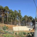 인천공항초등학교신도분교장 이미지