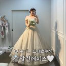 (체험단) W4-1 [💍드레스 투어] 달링데이즈👰‍♀️ 강남구청 셀프웨딩드레스 달링데이즈 피팅 - 💒채플웨딩...