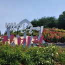 호현로387번길 이미지