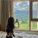 녹원사우나 | 고성&amp;속초1박2일여행 | 고성소노캄델피노 소노캄A 델피노인피니티 고성소노펠리체 인피니티풀 설악산...