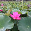 삼척농수산