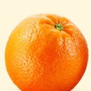 오렌지 이미지